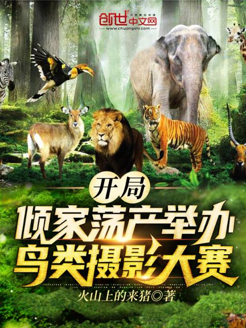 开局：倾家荡产举办鸟类摄影大赛