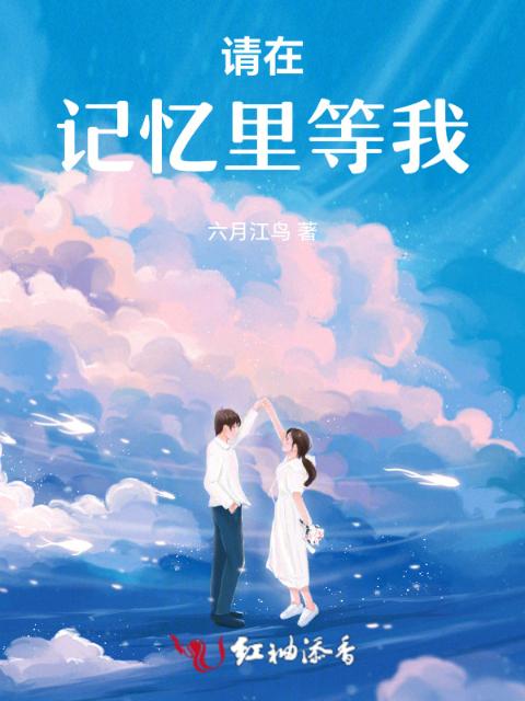 请在记忆里等我