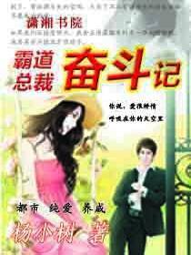 霸道总裁奋斗记
