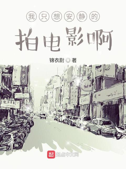 我只想安静的拍电影啊
