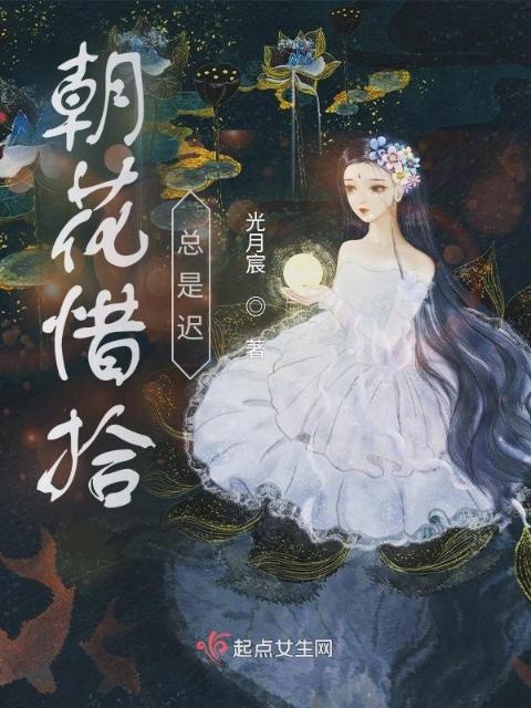 朝花惜拾总是迟