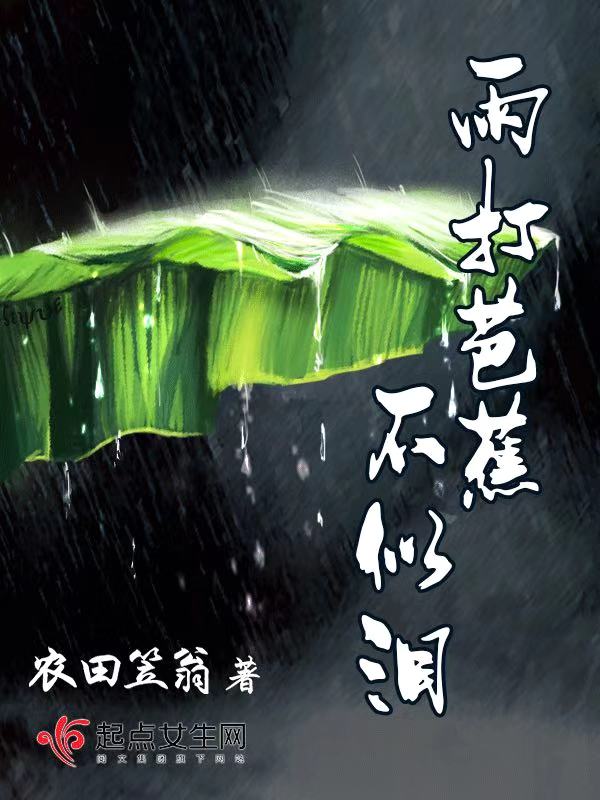 雨打芭蕉不似泪