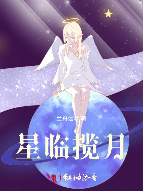 星临揽月