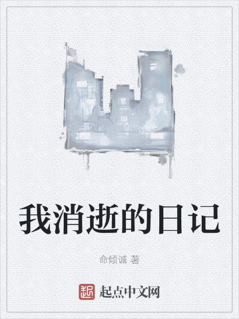 我消逝的日记