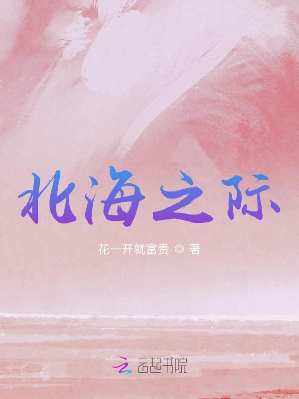 北海之际