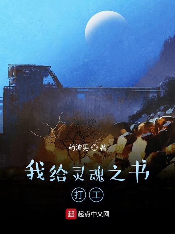 我给灵魂之书打工