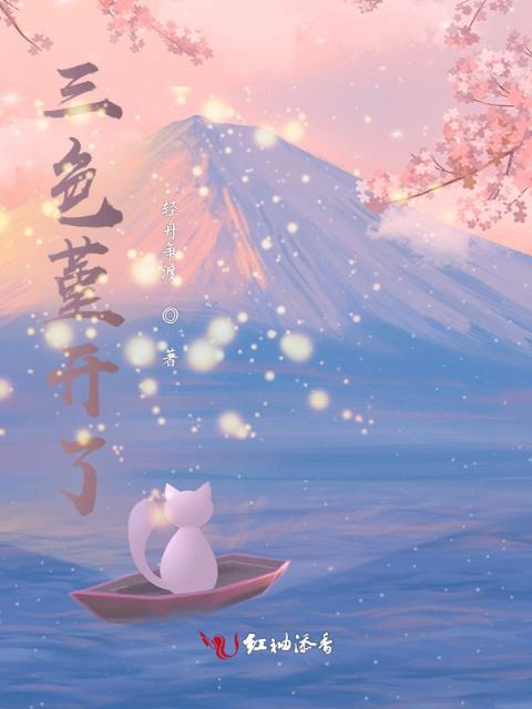 三色堇开了