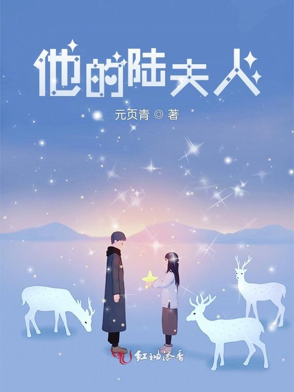 他的陆夫人