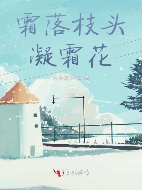霜落枝头凝霜花