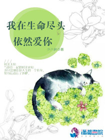 我在生命尽头依然爱你