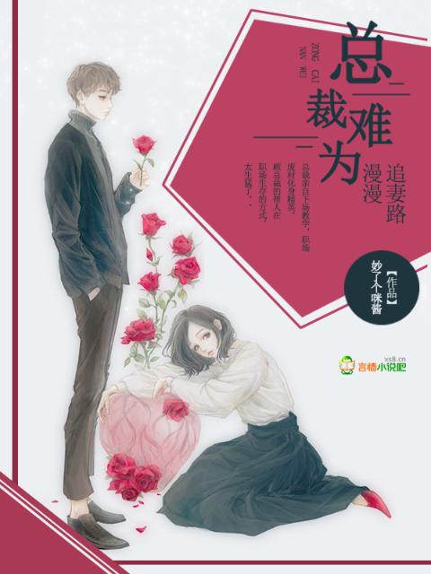 总裁难为：漫漫追妻路