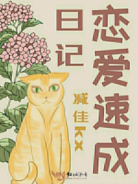 恋爱速成日记