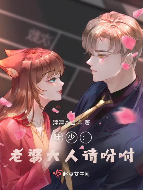 陆少：老婆大人请吩咐