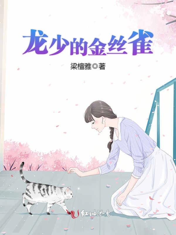 龙少的金丝雀
