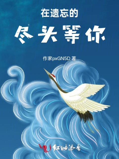 在遗忘的尽头等你