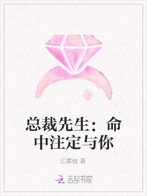 总裁先生：命中注定与你
