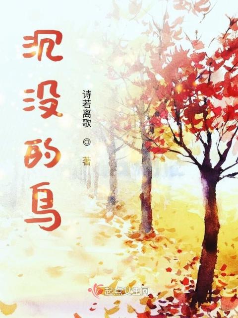 沉没的鸟