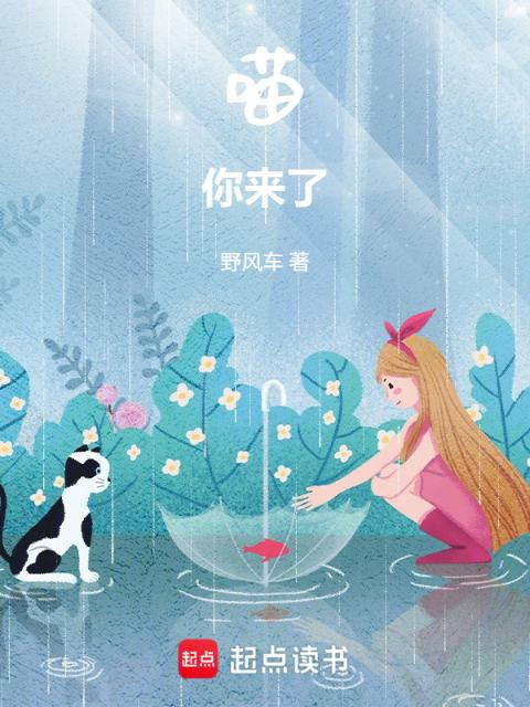 喵，你来了