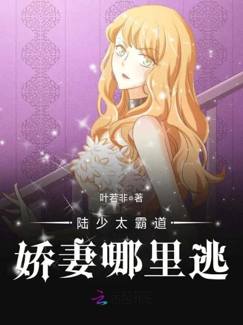 陆少太霸道娇妻哪里逃