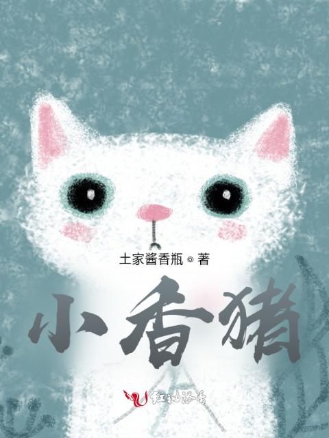 小香猪