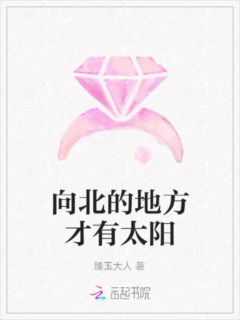 向北的地方才有太阳