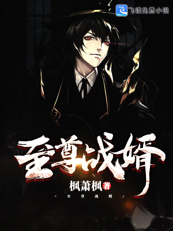 至尊战婿