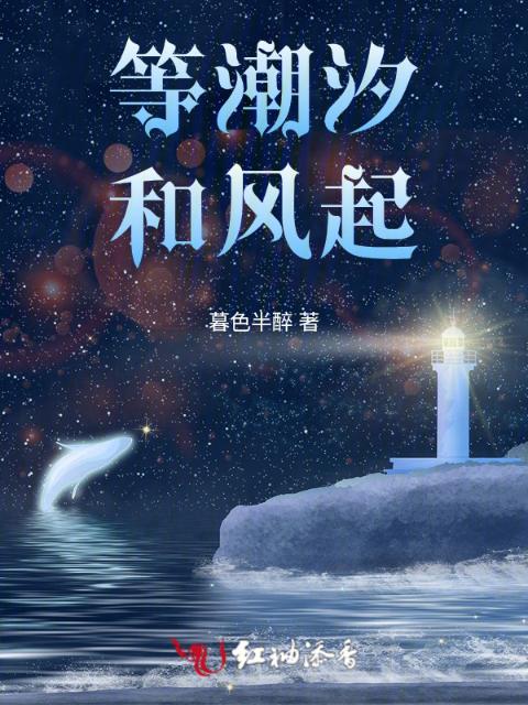 等潮汐和风起