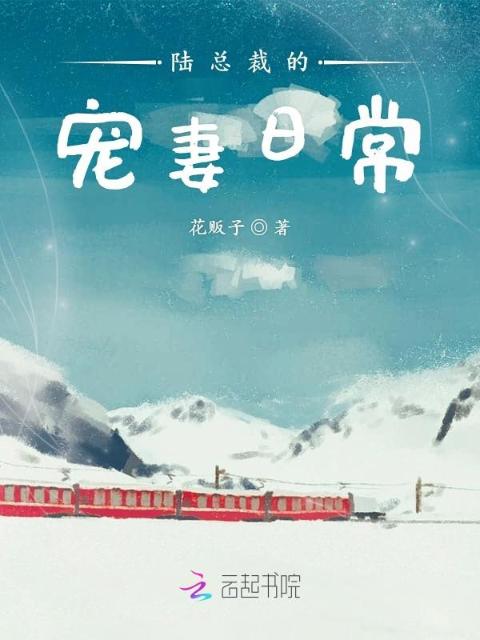 陆总裁的宠妻日常