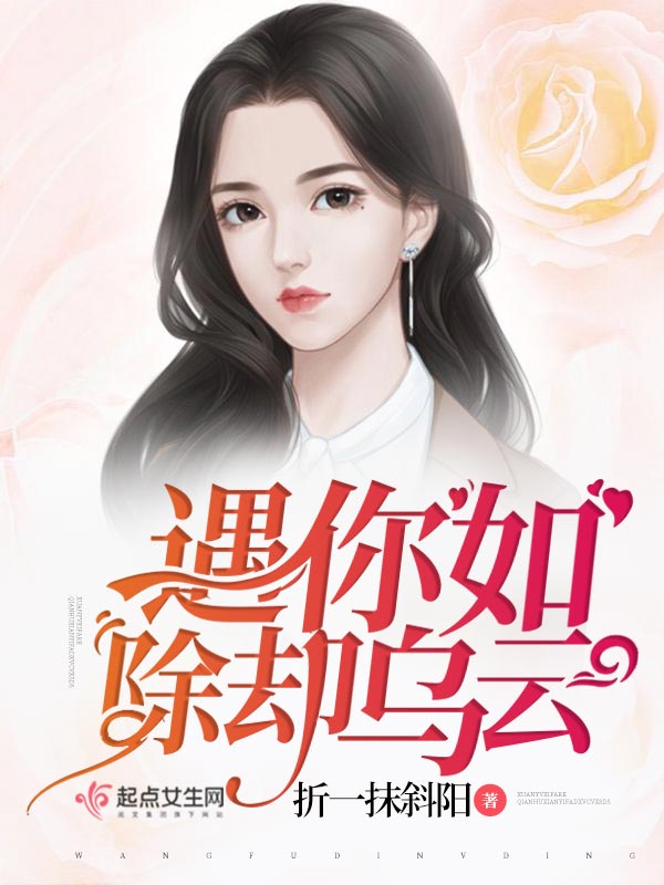 遇你如除却乌云
