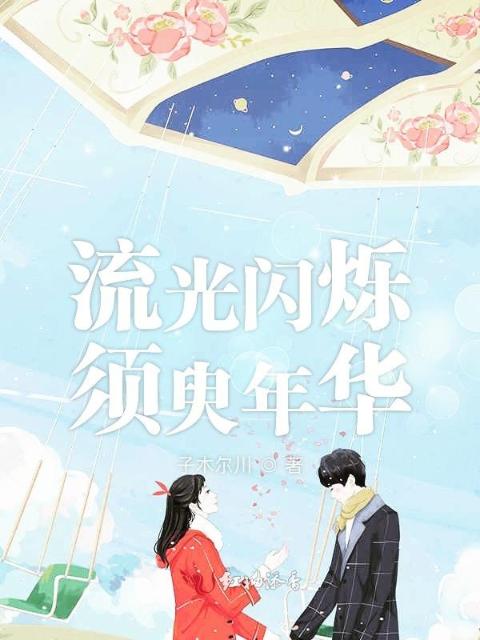 流光闪烁须臾年华