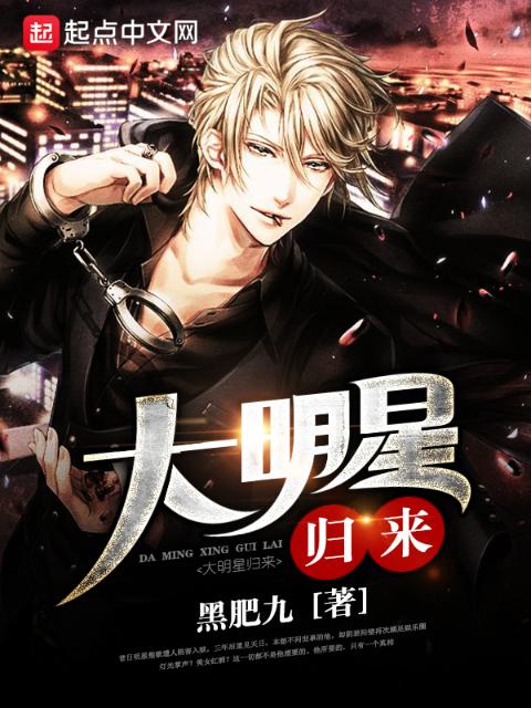 大明星归来