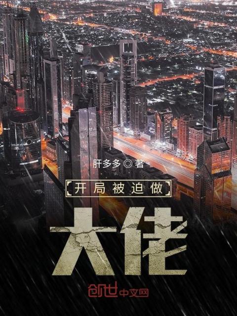 开局被迫做大佬