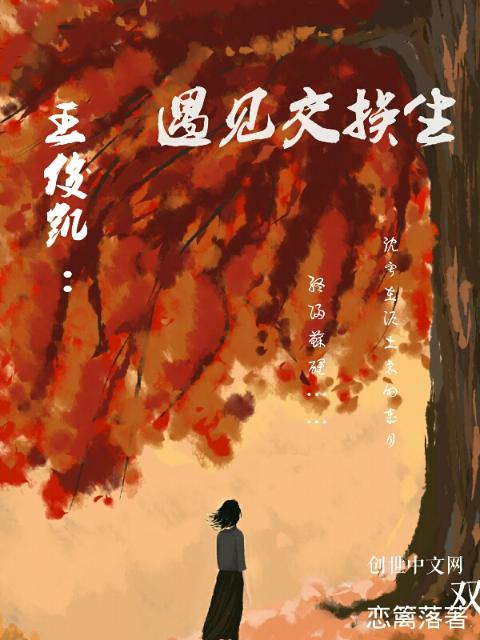 王俊凯遇见交换生