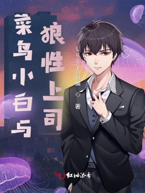 菜鸟小白与狼性上司