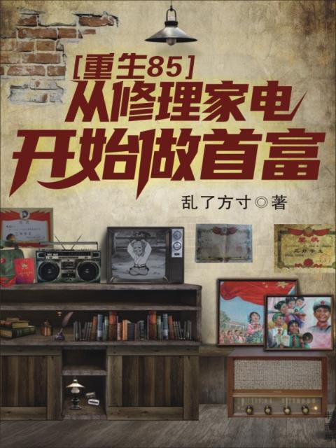 重返85：从修理家电开始做首富