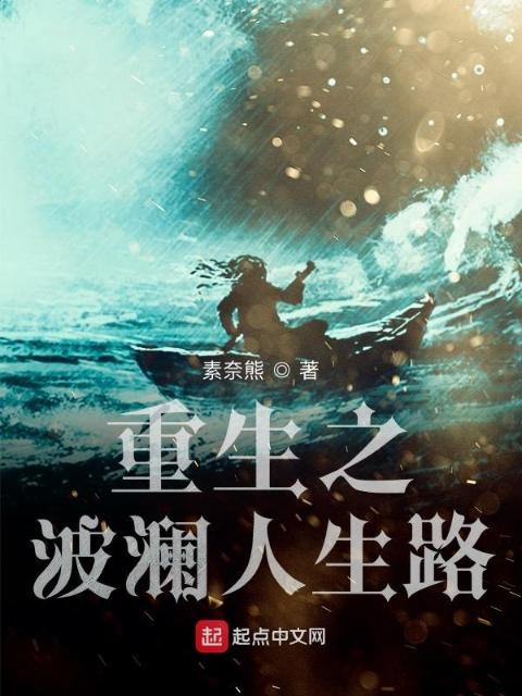 重生之波澜人生路
