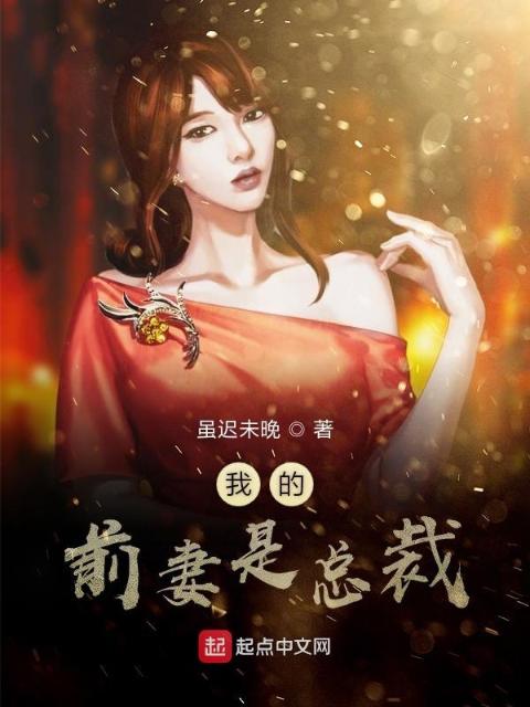我的前妻是总裁