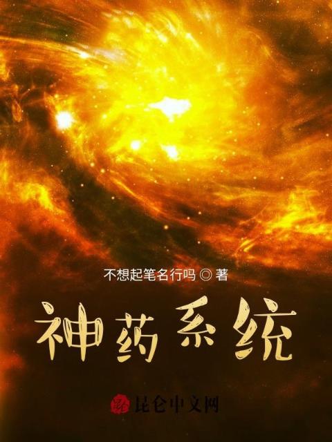 神药系统