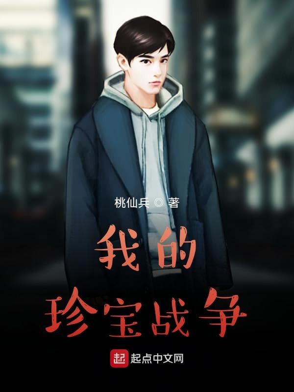 我的珍宝战争