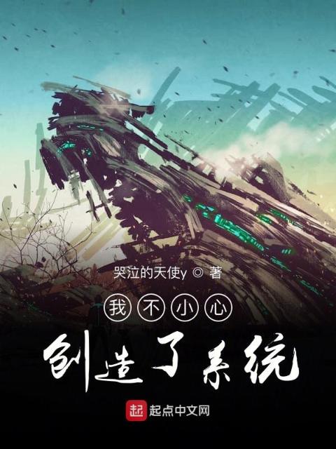 我不小心创造了系统