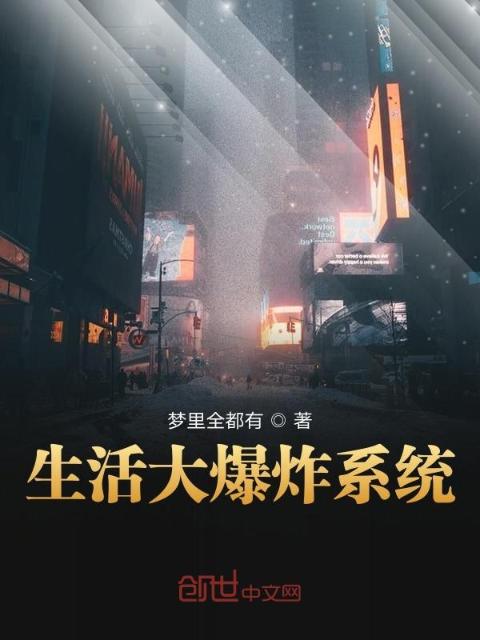 生活大爆炸系统