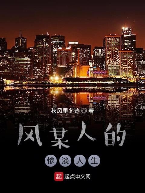 风某人的惨淡人生