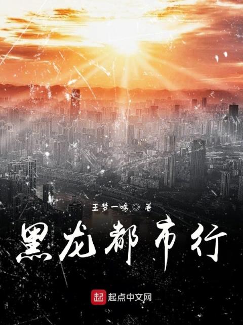 黑龙都市行