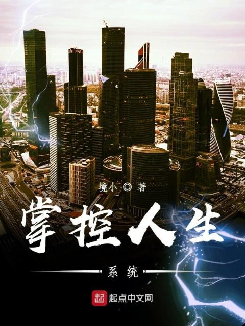 掌控人生系统