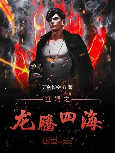 狂婿之龙腾四海