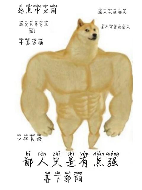 鄙人只是有点强