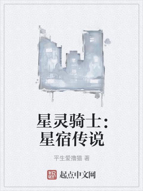 星灵骑士：星宿传说
