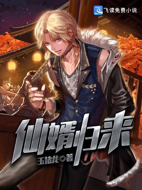 仙婿归来