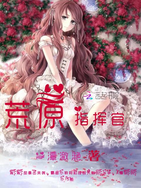 荒原指挥官
