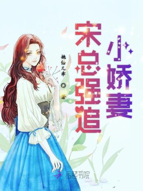 宋总强追小娇妻